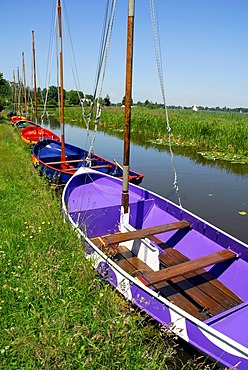 Colorful boats in the canal, landscape between Gouda, Oudewater and Reeuwijk, Reeuwijkse Plassen, Zuid-Holland, South Holland, the Netherlands, Europe