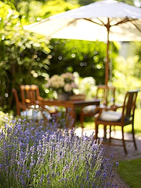 Romantic garden table with lavender bushes in atmospheric sunlight