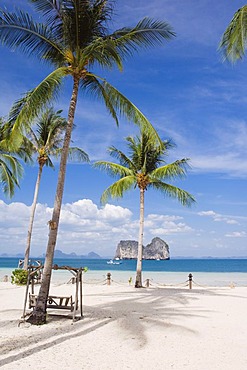 Palm beach, Ko Hai or Koh Ngai island, Trang, Thailand, Asia