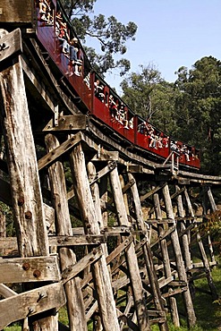 Puffing Billy Railway passenger carriages crossing the Trestle Bridge, built in 1899, The Dandenong Ranges, Victoria, Australia