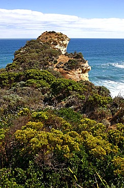 Vegetation and coastal cliffs, Great Ocean Road, Port Campbell National Park, Victoria, Australia