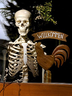 Human skeleton with a German welcome sign "Willkommen" for physiotherapy practice, Bavaria, Germany, Europe