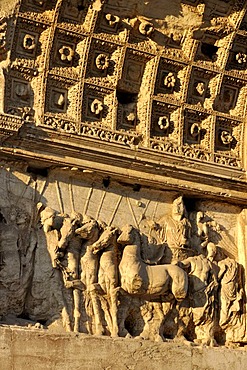 Relief on the Arch of Titus, Forum Romanum, Roman Forum, Rome, Lazio, Italy, EuropeEurope