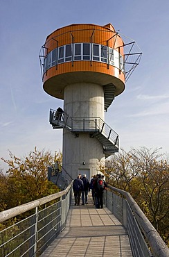 Tree tower at the Tree Top Walk, Nationalpark Hainich national park, Thuringia, Germany, Europe