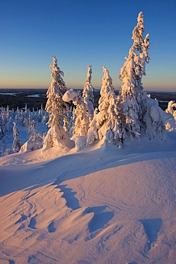 Winter landscape at Mt. Iivaara, Kuusamo region, Finland, Europe