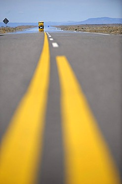 Road with markings, El Chalten, Andes, Patagonia, Argentina, South America