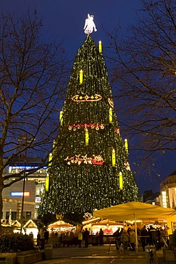 The biggest Christmas tree in the world at the Christmas market in Dortmund, Ruhrgebiet area, North Rhine-Westphalia, Germany, Europe