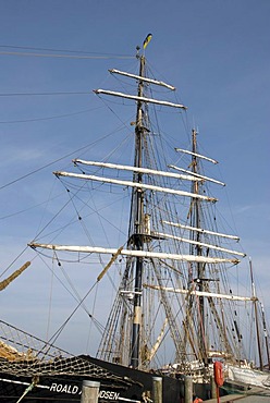 Masts of a sailing ship in the harbor, Eckernfoerde, Schleswig-Holstein, Germany, Europe