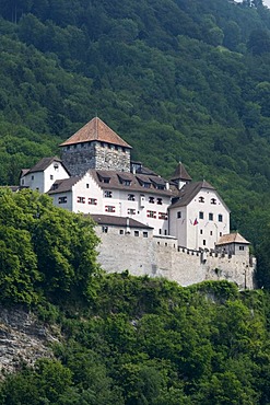 Liechtenstein Castle, Vaduz, Principality of Liechtenstein, Europe