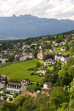 Overlooking Vaduz, Principality of Liechtenstein, Europe