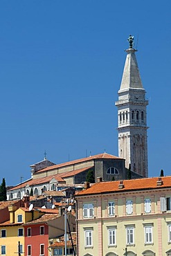 Parish church of Sv. Eufemija in the historic town, Rovinj, Istria, Croatia, Europe