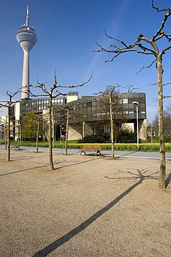 Parliament building and Rheinturm tower, Duesseldorf, state capital of North Rhine-Westphalia, Germany, Europe