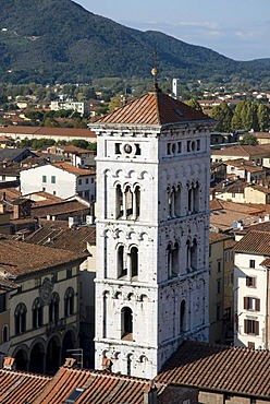 View of Lucca from Torre Civica Delle Ore, Lucca, Tuscany, Italy, Europe