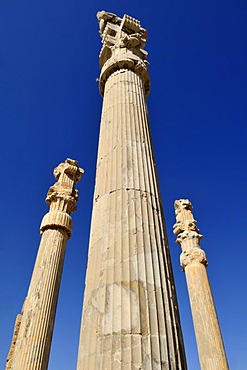 Huge columns at the Achaemenid archaeological site of Persepolis, UNESCO World Heritage Site, Persia, Iran, Asia