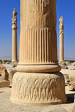 Huge columns at the Achaemenid archeological site of Persepolis, UNESCO World Heritage Site, Persia, Iran, Asia