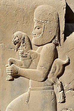 Bas-relief of a Median soldier offering a goat at the Achaemenid archeological site of Persepolis, UNESCO World Heritage Site, Persia, Iran, Asia