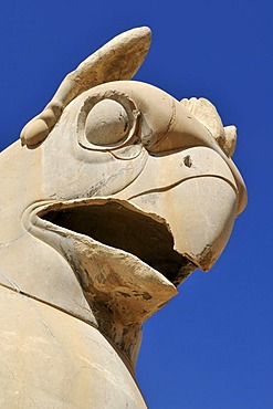 Bird of prey shaped capital at the Achaemenid archeological site of Persepolis, UNESCO World Heritage Site, Persia, Iran, Asia