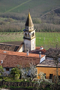 Overlooking the lower town of Motovun, Croatia, Europe