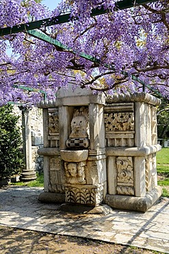 Arbor with Roman artefacts in Salona near Split, Croatia, Europe