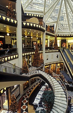 Quartier 206 shopping mall, interior with Christmas tree, luxury shopping at Christmas time, Friedrichstrasse, Mitte district, Berlin, Germany, Europe