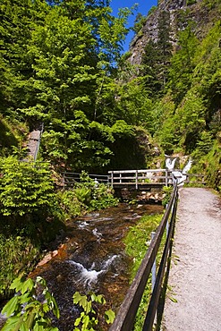 Lierbach river at the Allerheiligenwasserfaelle, All Saints' Waterfalls, Oppenau, Black Forest, Baden-Wuerttemberg, Germany, Europe