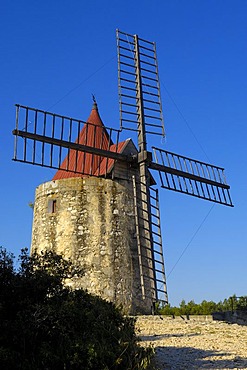 Alphonse Daudet's windmill, near Arles, Bouches du Rhone, Provence, France, Europe