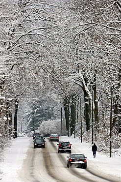 Snow-covered country road in a forest, winter road conditions, Essen, North Rhine-Westphalia, Germany, Europe