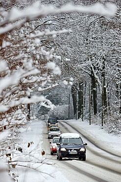 Snow-covered country road in a forest, winter road conditions, Essen, North Rhine-Westphalia, Germany, Europe