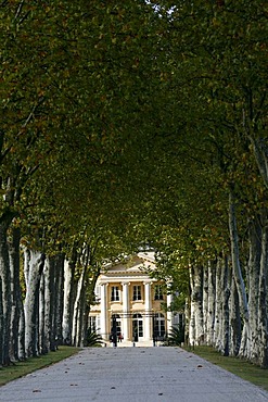 Chateau Margaux entrance, Sycamore trees, famous vineyard, Medoc, Bordeaux, Aquitaine, France, Europe