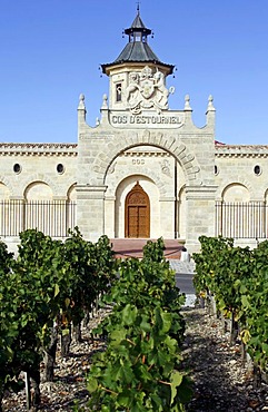 Cos d'Estournel, famous vineyard, St Estephe, Medoc, Aquitaine, France, Europe