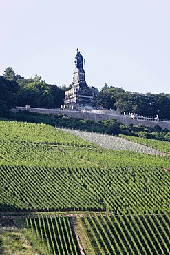 Longshot of the Niederwalddenkmal memorial near Ruedesheim and vineyards, Mittelrheintal valley, Hesse, Germany, Europe