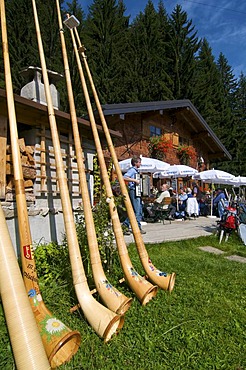 Alphorns at Max's Huette alpine hut at Mittelberg, Kleinwalsertal, Allgaeu, Vorarlberg, Austria, Europe