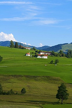 Farm and church at the Weiler-Simmerberg village, Allgaeu, Bavaria, Germany, Europe