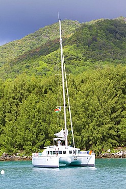 Catamaran anchored in the Baie Saint Anne, island of Praslin, Seychelles, Africa, Indian Ocean