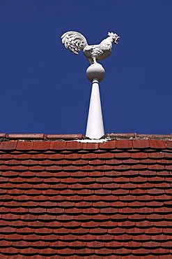 White weather-cock on a roof against a blue sky, Colmar, Alsace, France, Europe