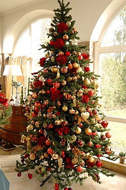 Large Christmas tree decorated with Christmas balls, Im Weller, Nuremberg, Middle Franconia, Bavaria, Germany, Europe