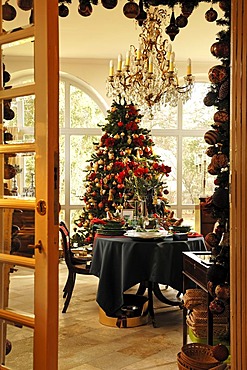 View into a conservatory with a decorative table setting in front of a decorated Christmas tree for sale, Villa & Ambiente store, Im Weller, Nuremberg, Middle Franconia, Bavaria, Germany, Europe