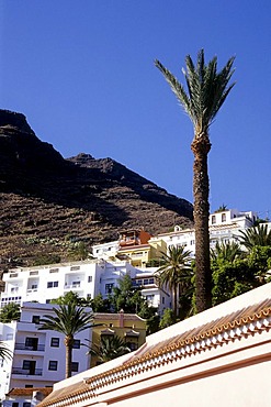 Houses and palm, mountainside near the village of La Calera, Valle Gran Rey, La Gomera, Canary Islands, Spain, Europe