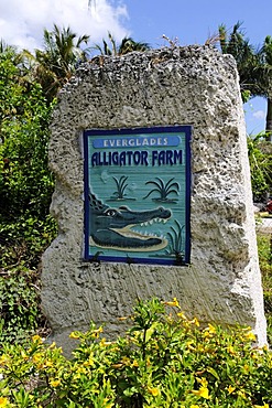 Everglades Alligator Farm, Homestead, Miami, Florida, USA