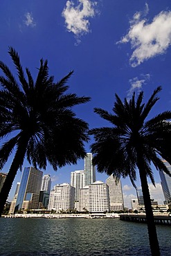 Brickell Key Drive, Downtown Miami, Florida, USA