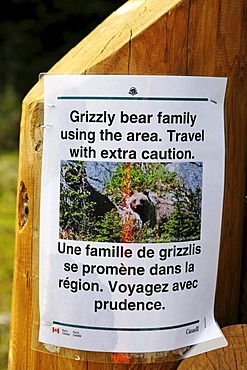 Notice about grizzly bears, Revelstoke National Park, British Columbia, Canada