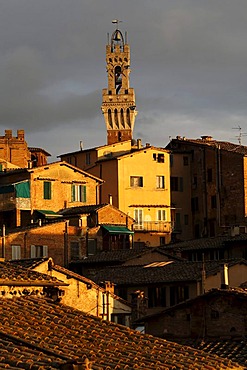 Torre di Mangia tower and residential architecture, Siena, Tuscany, Italy, Europe