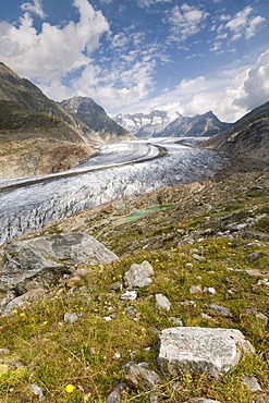 Aletsch Glacier in front of the Gross Wannenhorn and Klein Wannenhorn Mountains, Bernese Alps, Valais, Switzerland, Europe