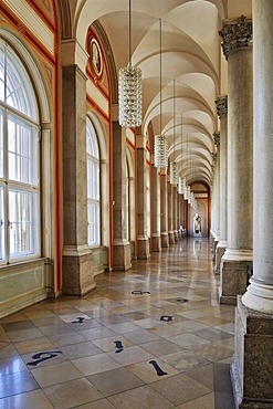 Bavarian State Library, first floor, ceiling vault with Corinthian columns, Munich, Bavaria, Germany, Europe