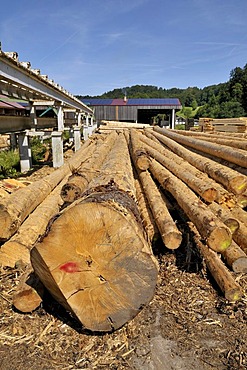 Peeled logs, wood factory in Upper Bavaria, Bavaria, Germany, Europe