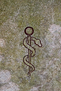 Aesculapian staff, rod of Asclepius carved into a wall, symbol of the medical and pharmaceutical professions