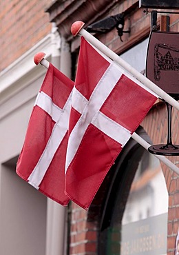 Danish flag Dannebrog