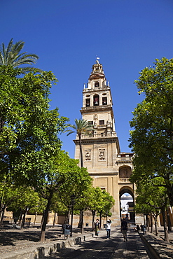 Torre del Alminar, Alminar Tower, Mezquita, Cordoba Cathedral, Cordoba, Andalusia, Spain, Europe