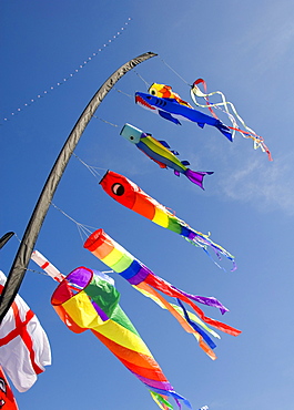 Kites and flags, International Kite Festival, Bristol, England, United Kingdom, Europe