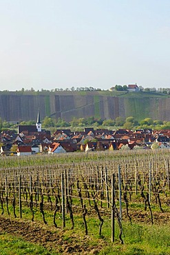 Nordheim with Vogelsburg Monastery, Volkach, Main River loop, Lower Franconia, Bavaria, Germany, Europe